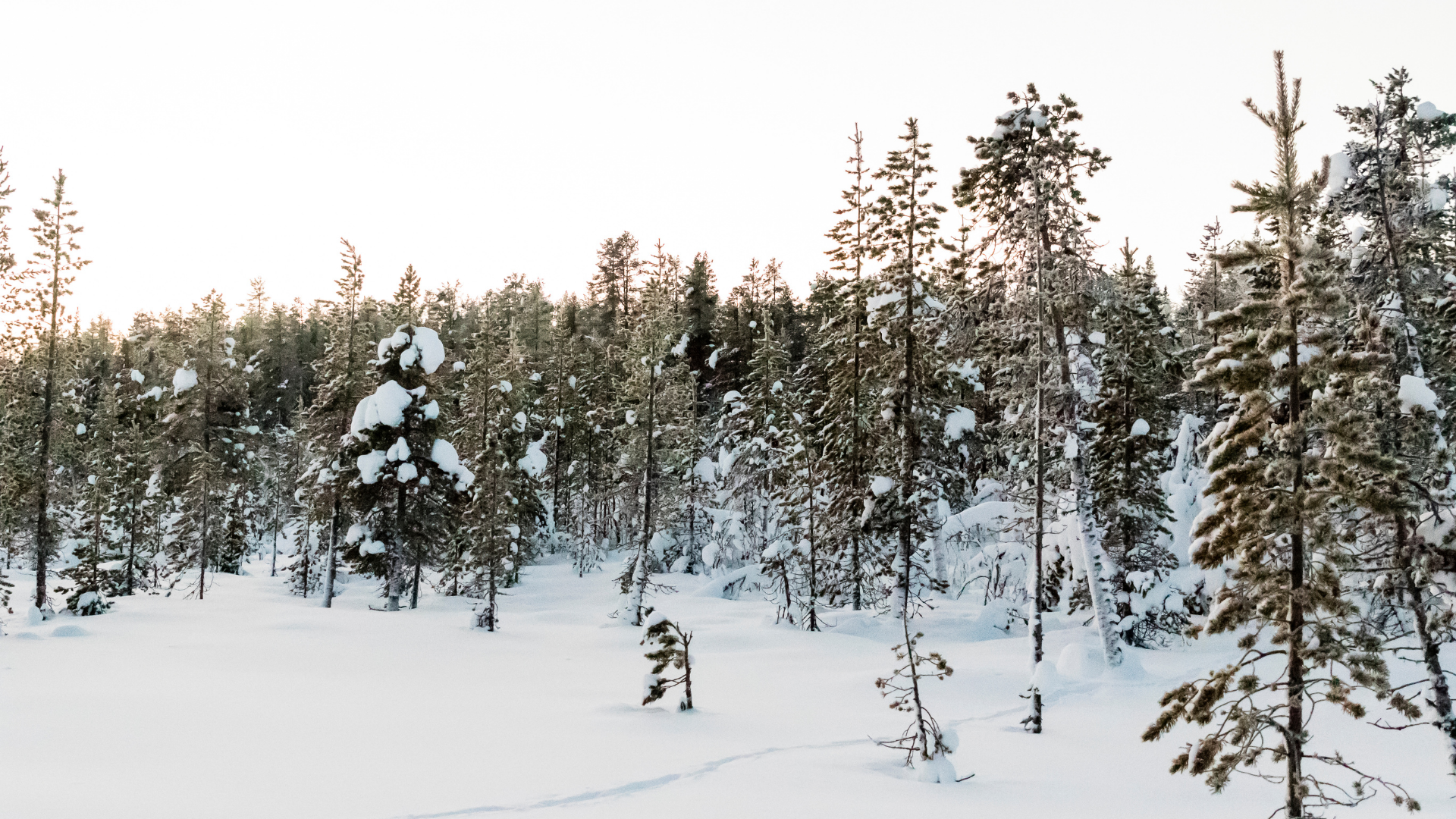 Vi behöver en mindre företagsfientlig kommunledning i Kiruna